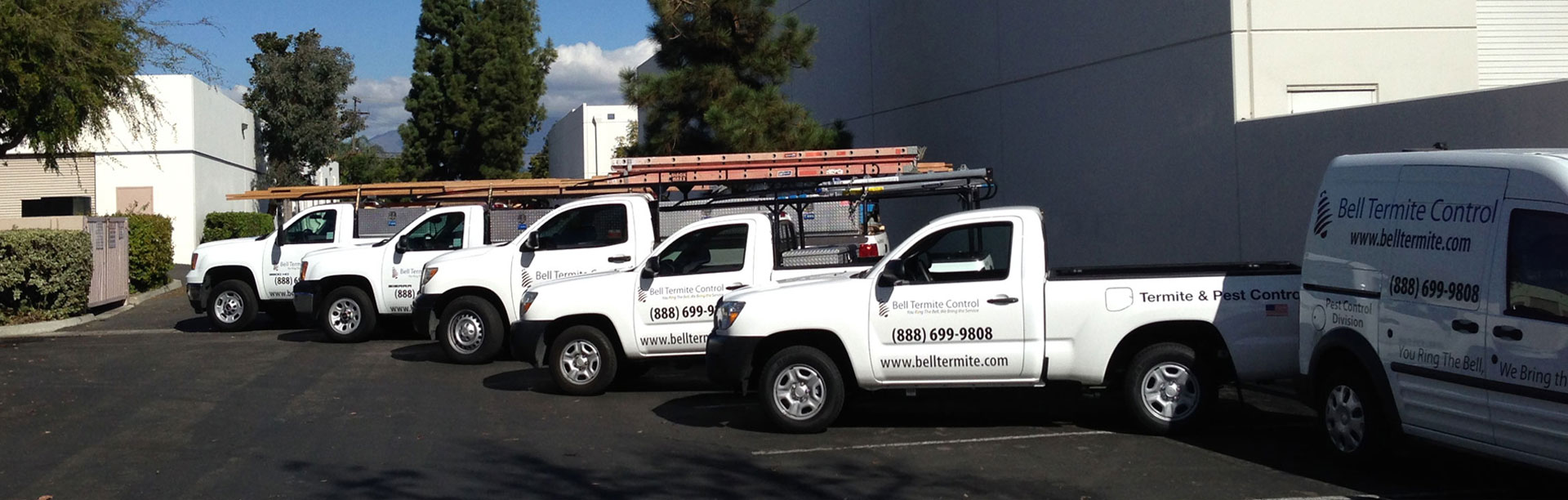 Free Termite Inspection in Rancho Cucamonga